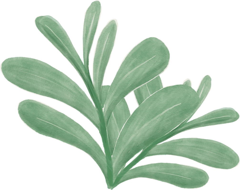 Green Leaves  Decorative Element